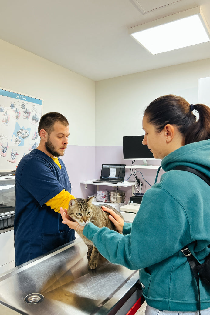 Ayudante Técnico Veterinario