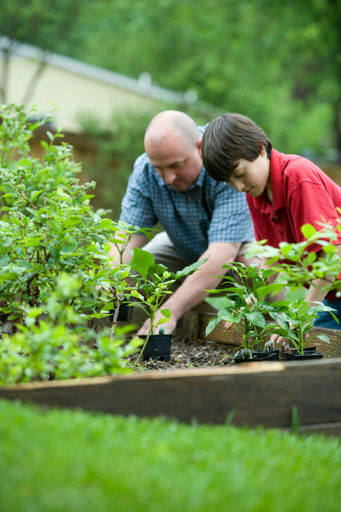 Jardinería
