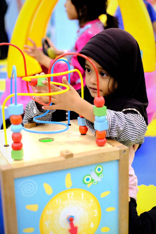 Dirección y Gestión de Centros Lúdicos Infantiles