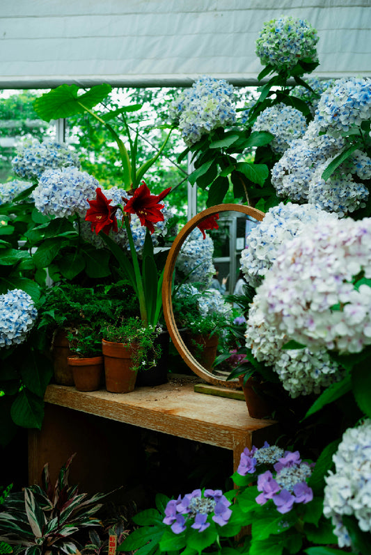 Jardinería, Paisajismo y Floristería