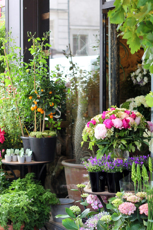 Jardinería y Floristería